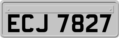 ECJ7827
