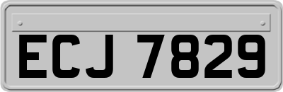 ECJ7829