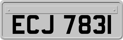 ECJ7831