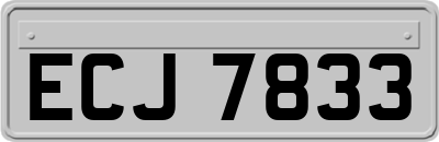 ECJ7833