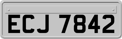 ECJ7842