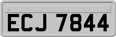 ECJ7844
