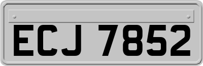 ECJ7852