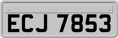 ECJ7853