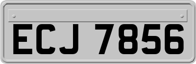 ECJ7856