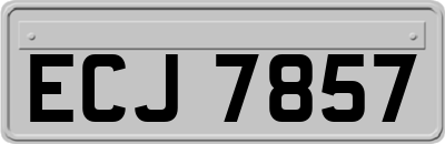 ECJ7857