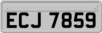 ECJ7859