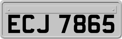 ECJ7865
