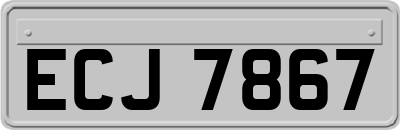 ECJ7867