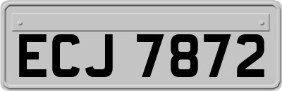 ECJ7872