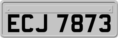 ECJ7873