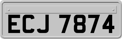 ECJ7874