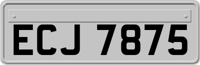 ECJ7875