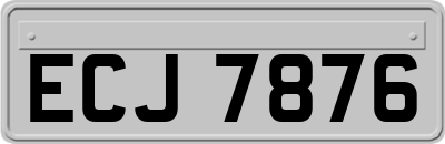 ECJ7876