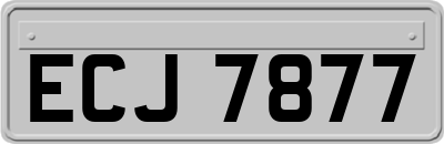 ECJ7877