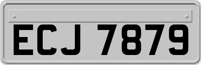 ECJ7879