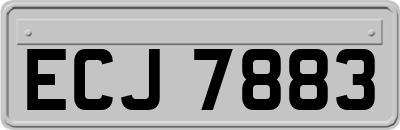 ECJ7883