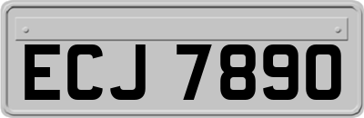 ECJ7890