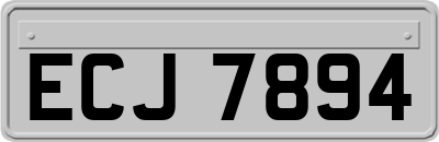 ECJ7894