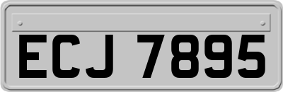 ECJ7895