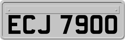ECJ7900