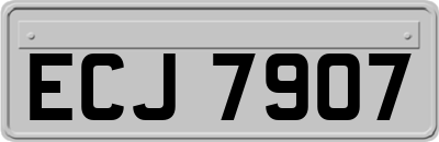 ECJ7907