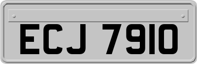 ECJ7910