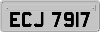 ECJ7917