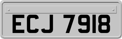 ECJ7918
