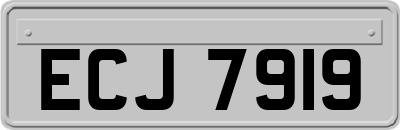 ECJ7919