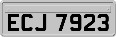 ECJ7923