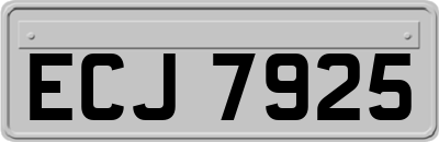 ECJ7925