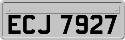 ECJ7927