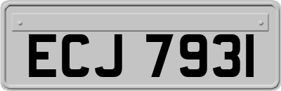 ECJ7931