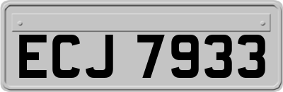 ECJ7933