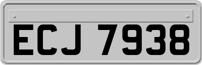 ECJ7938