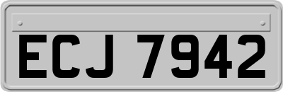 ECJ7942