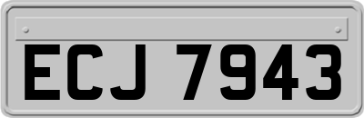 ECJ7943