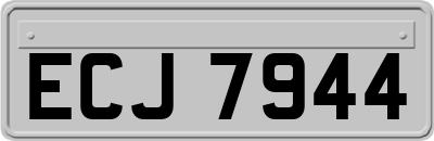 ECJ7944