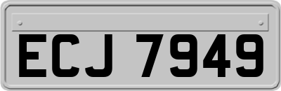 ECJ7949