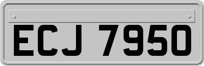 ECJ7950