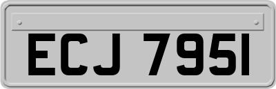 ECJ7951