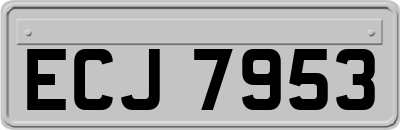 ECJ7953