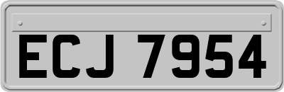 ECJ7954