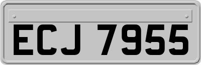 ECJ7955