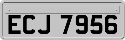 ECJ7956
