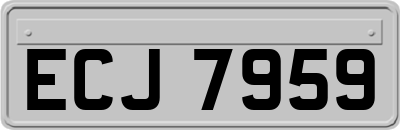 ECJ7959