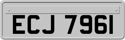 ECJ7961