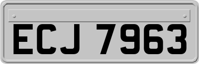 ECJ7963