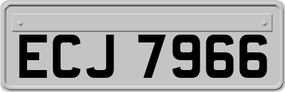 ECJ7966